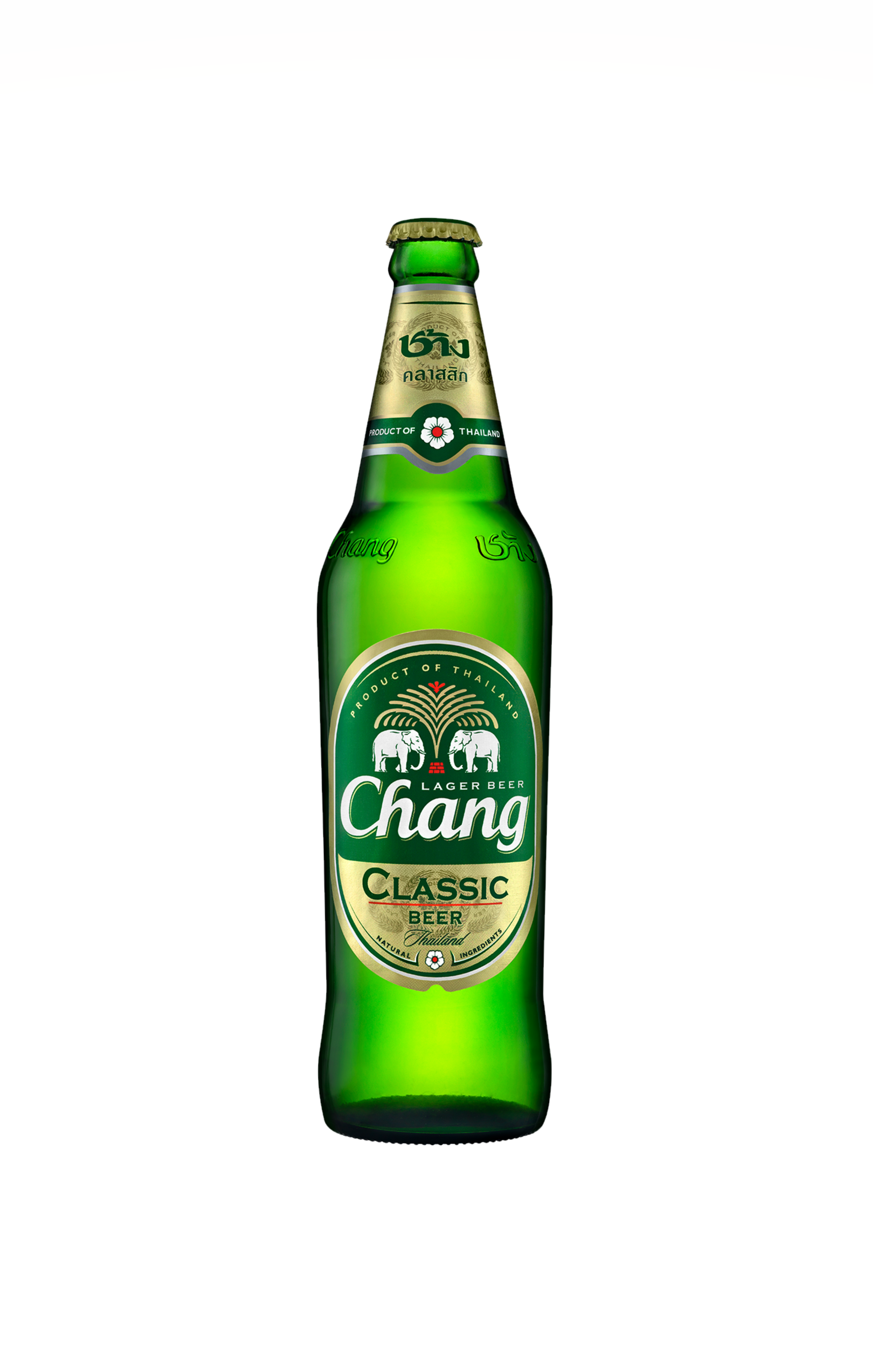 Chang Chang beer 5% ALC. (泰象啤酒)